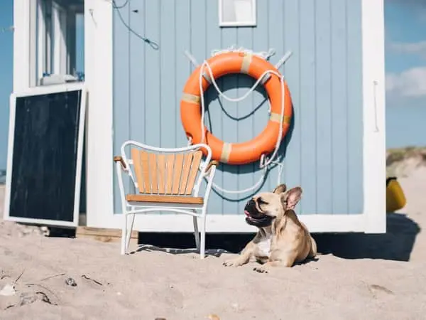 Mandalay Marguerit Kids Stol 4 Mandalay Marguerit Kids Stol - Billede 2