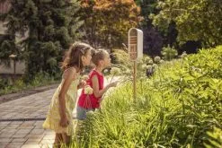 Gardena ClickUp Insekthotel -Havemøbler Butik 3990 245df569 e654 4987 9c04 e4b83745593d