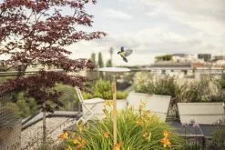 Gardena ClickUp Fuglebad 7 Gardena ClickUp Fuglebad -Havemøbler Butik 3990 331f0910 f642 477c b811 c8b8505173e2