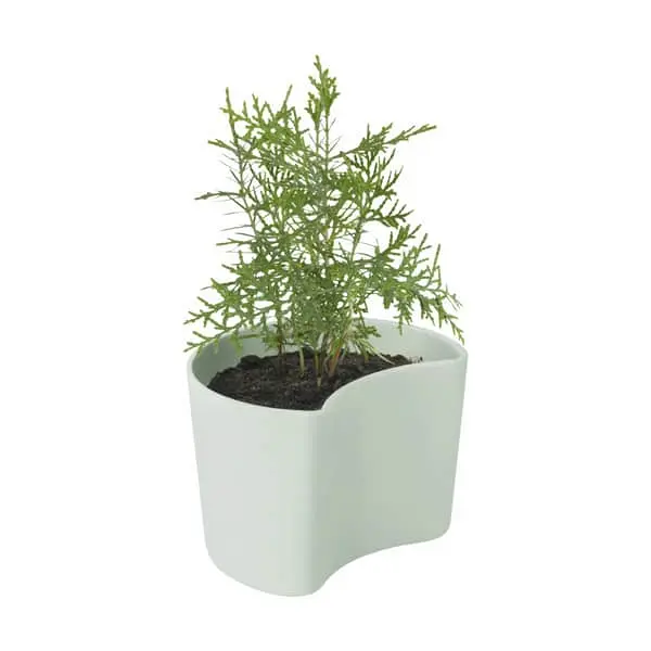 RIG TIG Your Tree Plantepotte M. Fyrrefrø 5 RIG TIG Your Tree Plantepotte M. Fyrrefrø - Billede 3