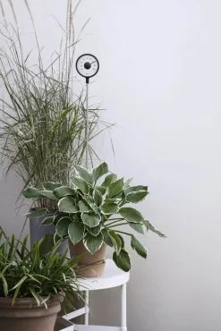 Eva Solo Stående Udendørstermometer -Havemøbler Butik 3990 47092954 bc3d 4414 ac3a 36aa09012d65