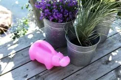 Casa Living Urtepotte 8 Casa Living Urtepotte -Havemøbler Butik 3990 b4241703 2e7a 4b27 a22f 0e5e32a87165