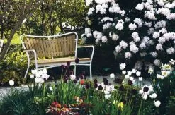 Mandalay Marguerit Havebænk -Havemøbler Butik 3990 b7d428bb bd8c 44e0 8845 15bde0b15fcc