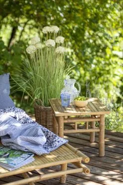 Havemøbler Butik 44 Havemøbler Butik -Havemøbler Butik 3990 d92bd4d0 ff40 4b9b a8ac d44501ba4493