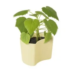 RIG TIG Your Tree Plantepotte M. Birkefrø -Havemøbler Butik 3990 ef8b9826 c304 4b8b bed2 5ff1f9405dfc