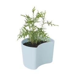 RIG TIG Your Tree Plantepotte M. Fyrrefrø -Havemøbler Butik 3990 fc2301ff dfa7 4025 bd99 28cb5eb720c3