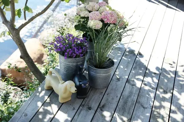 Casa Living Urtepotte 4 Casa Living Urtepotte - Billede 2